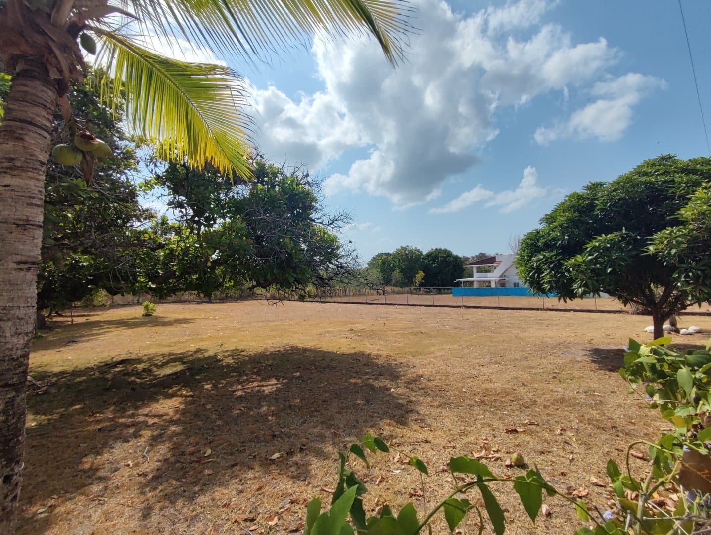 Opportunity – lot for sale in Coronado R-0014 - Image 22