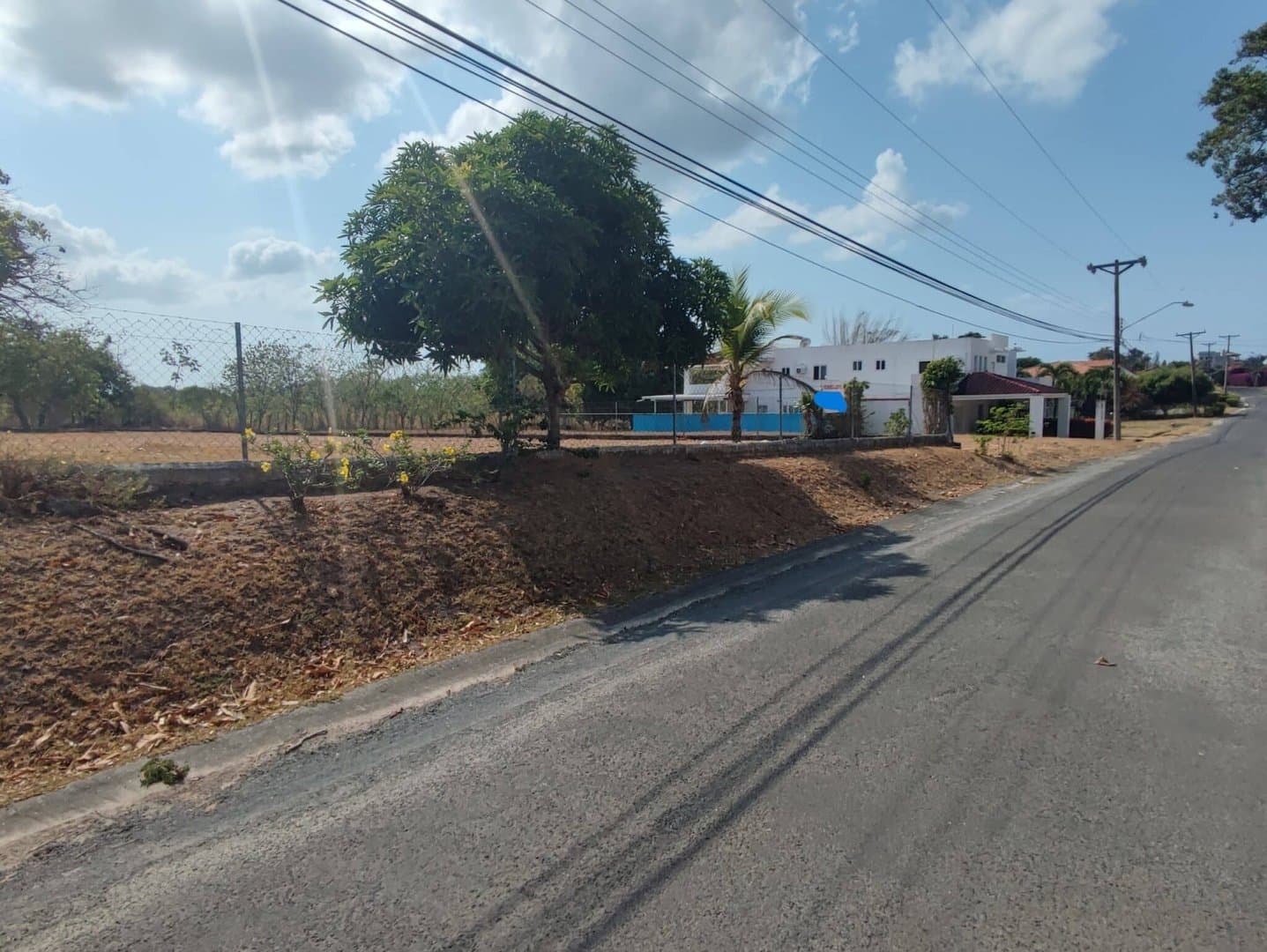 Opportunity – lot for sale in Coronado R-0014 - Image 3