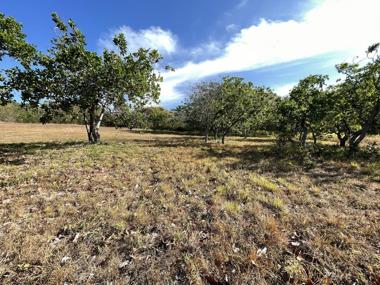 Opportunity – lot for sale in Coronado R-0100