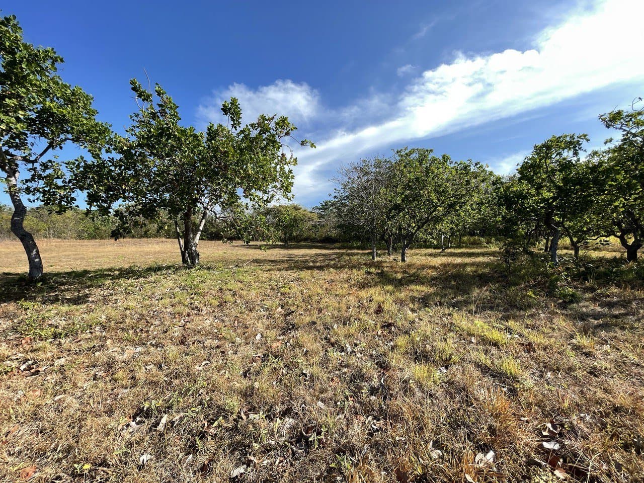 Opportunity – lot for sale in Coronado R-0100 - Image 2