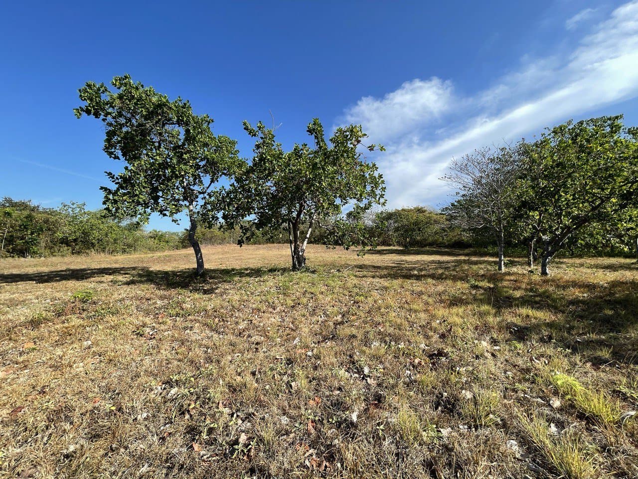 Opportunity – lot for sale in Coronado R-0100 - Image 3
