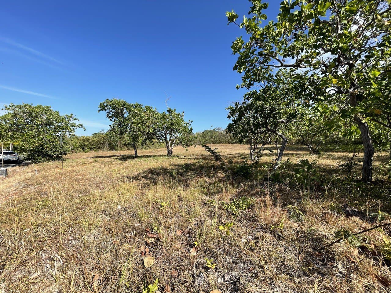 Opportunity – lot for sale in Coronado R-0100 - Image 4