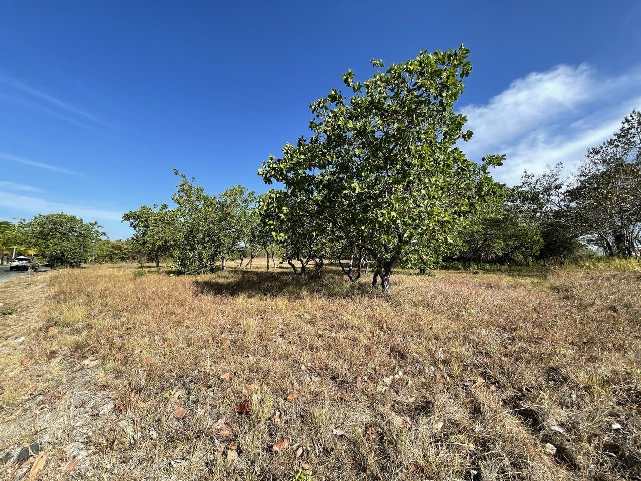 Opportunity – lot for sale in Coronado R-0100 - Image 5
