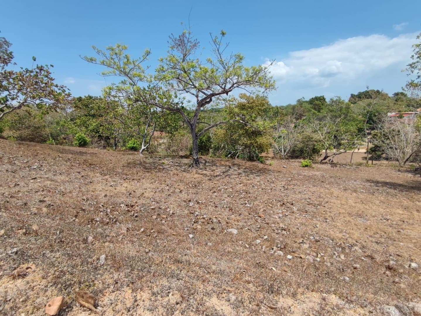 Riverfront land in El Espino, San Carlos, Panama Oeste R-0551 - Image 1