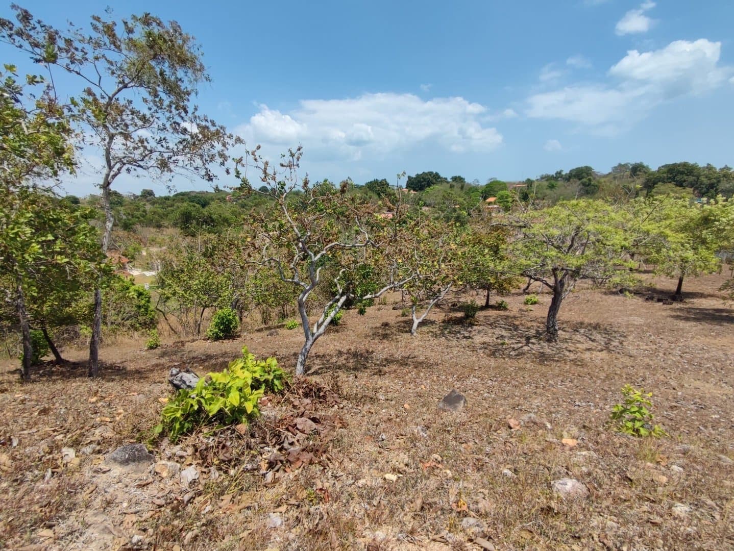 Riverfront land in El Espino, San Carlos, Panama Oeste R-0551 - Image 10