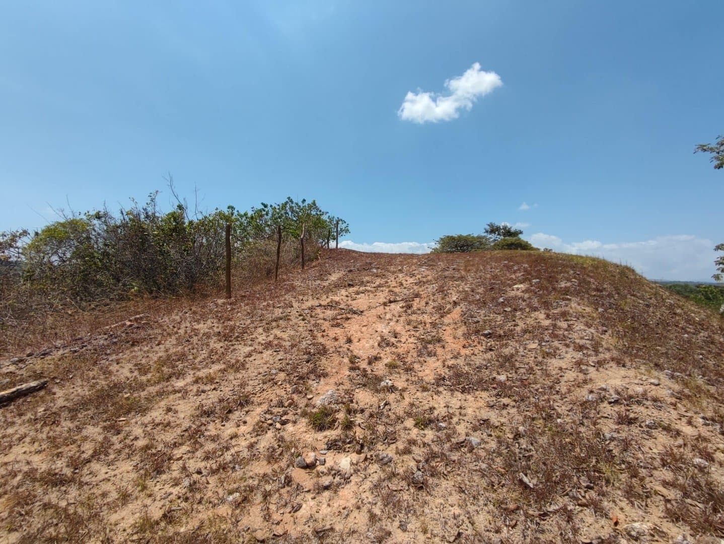 Riverfront land in El Espino, San Carlos, Panama Oeste R-0551 - Image 11