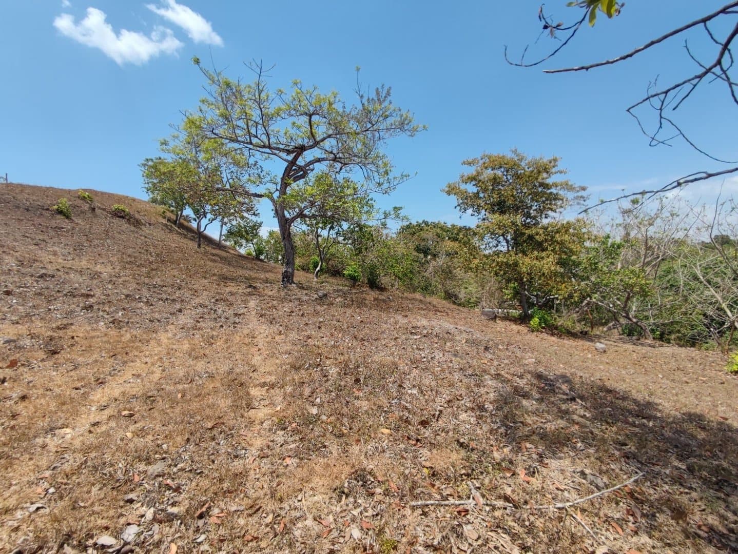 Riverfront land in El Espino, San Carlos, Panama Oeste R-0551 - Image 14