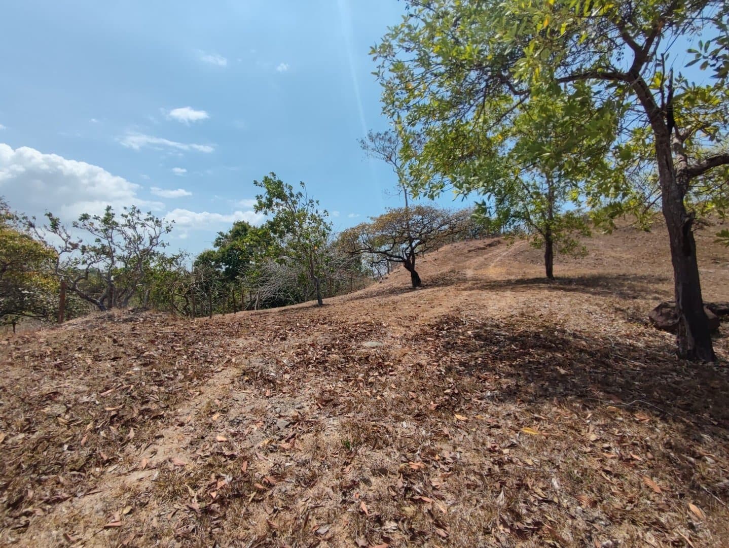 Riverfront land in El Espino, San Carlos, Panama Oeste R-0551 - Image 16