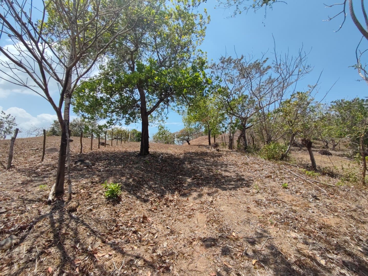 Riverfront land in El Espino, San Carlos, Panama Oeste R-0551 - Image 24