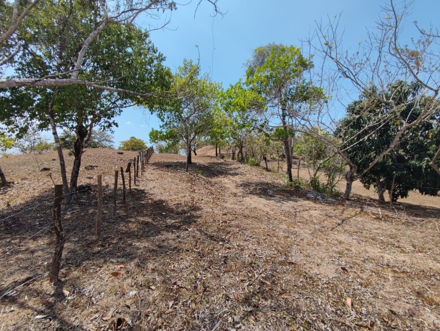 Riverfront land in El Espino, San Carlos, Panama Oeste R-0551 - Image 21