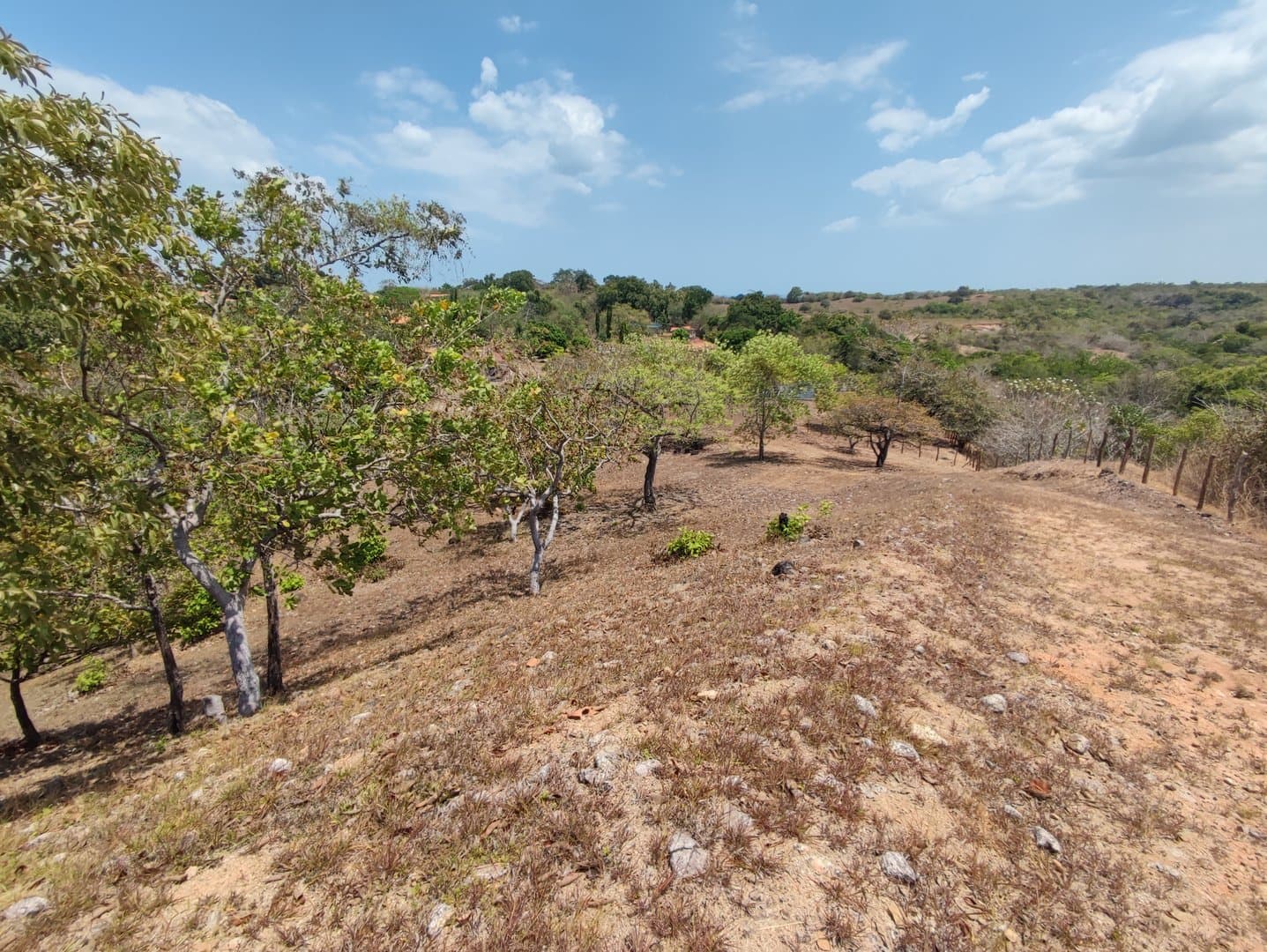 Riverfront land in El Espino, San Carlos, Panama Oeste R-0551 - Image 25