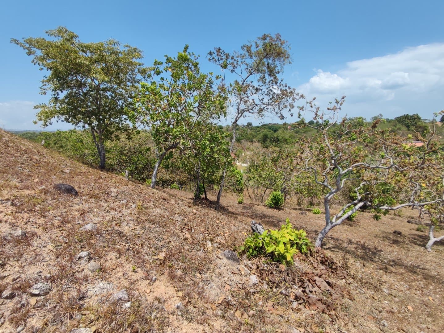 Riverfront land in El Espino, San Carlos, Panama Oeste R-0551 - Image 31