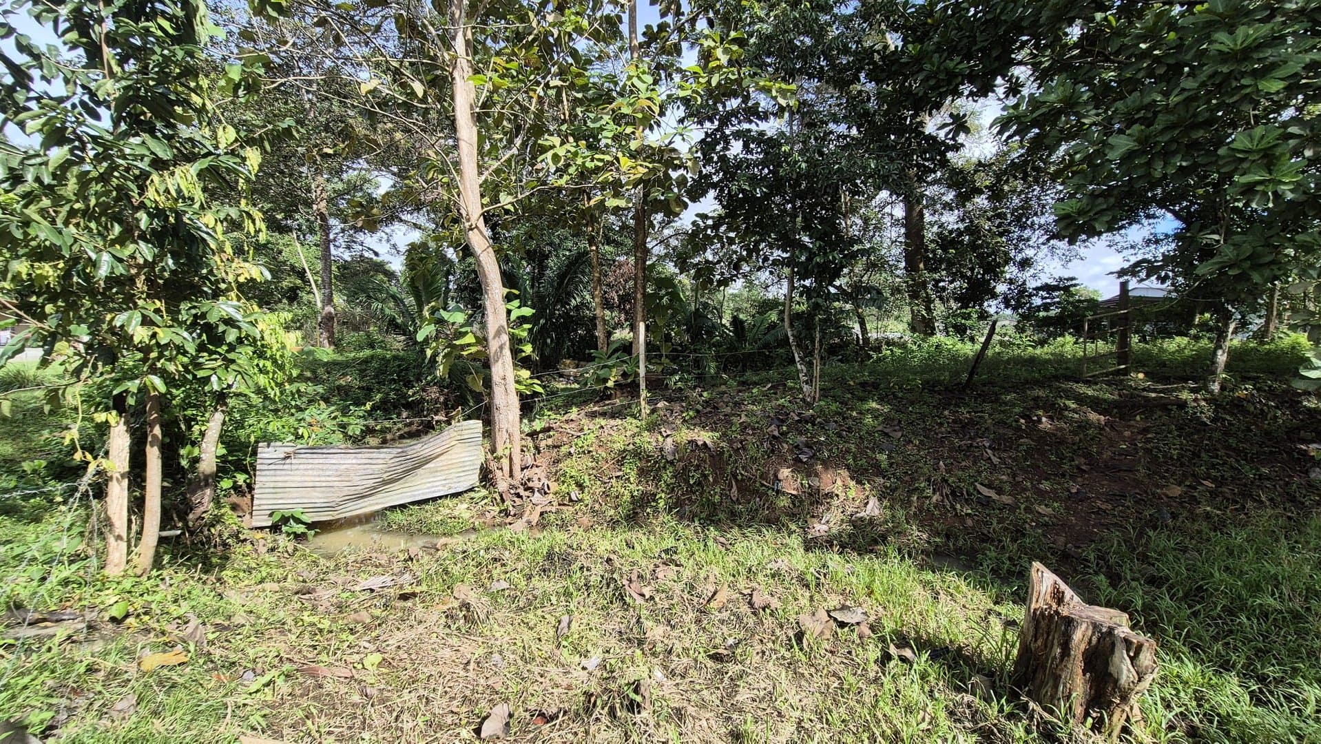 Expansive 2.47-Acre Retreat with 4-Bedroom Home and Casita in Capira, Panama Oeste P-0343 - Image 58