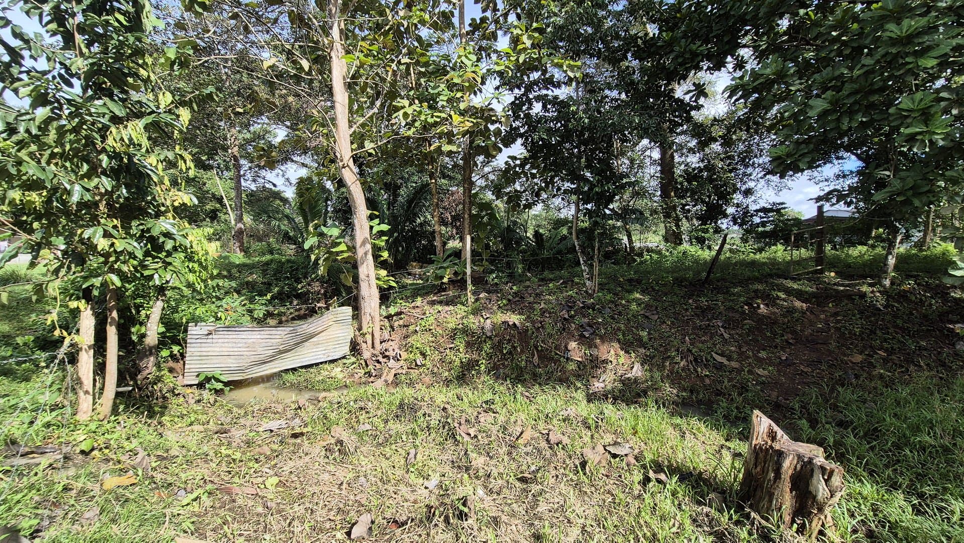 Expansive 2.47-Acre Retreat with 4-Bedroom Home and Casita in Capira, Panama Oeste P-0343 - Image 102