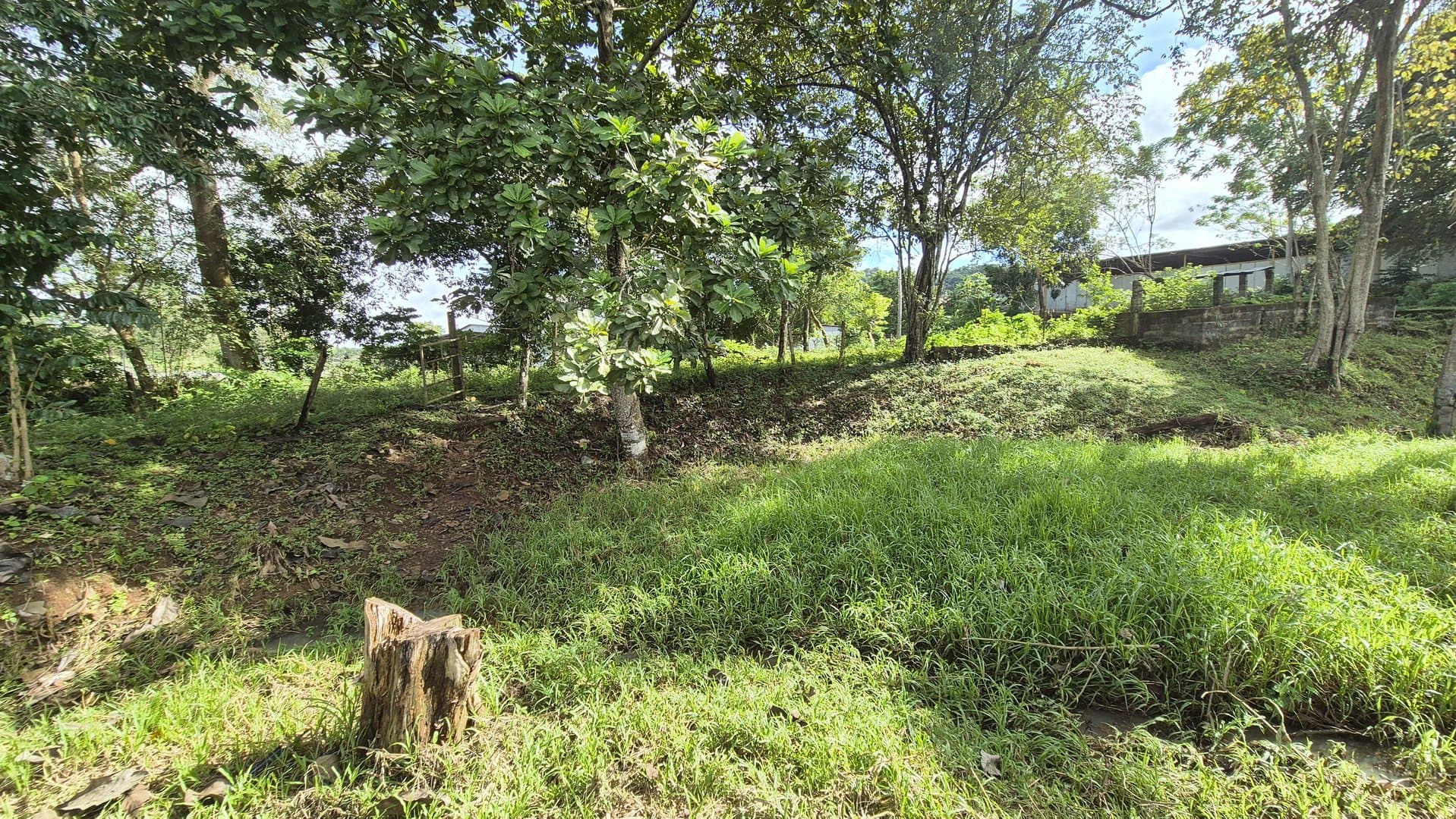 Expansive 2.47-Acre Retreat with 4-Bedroom Home and Casita in Capira, Panama Oeste P-0343 - Image 100