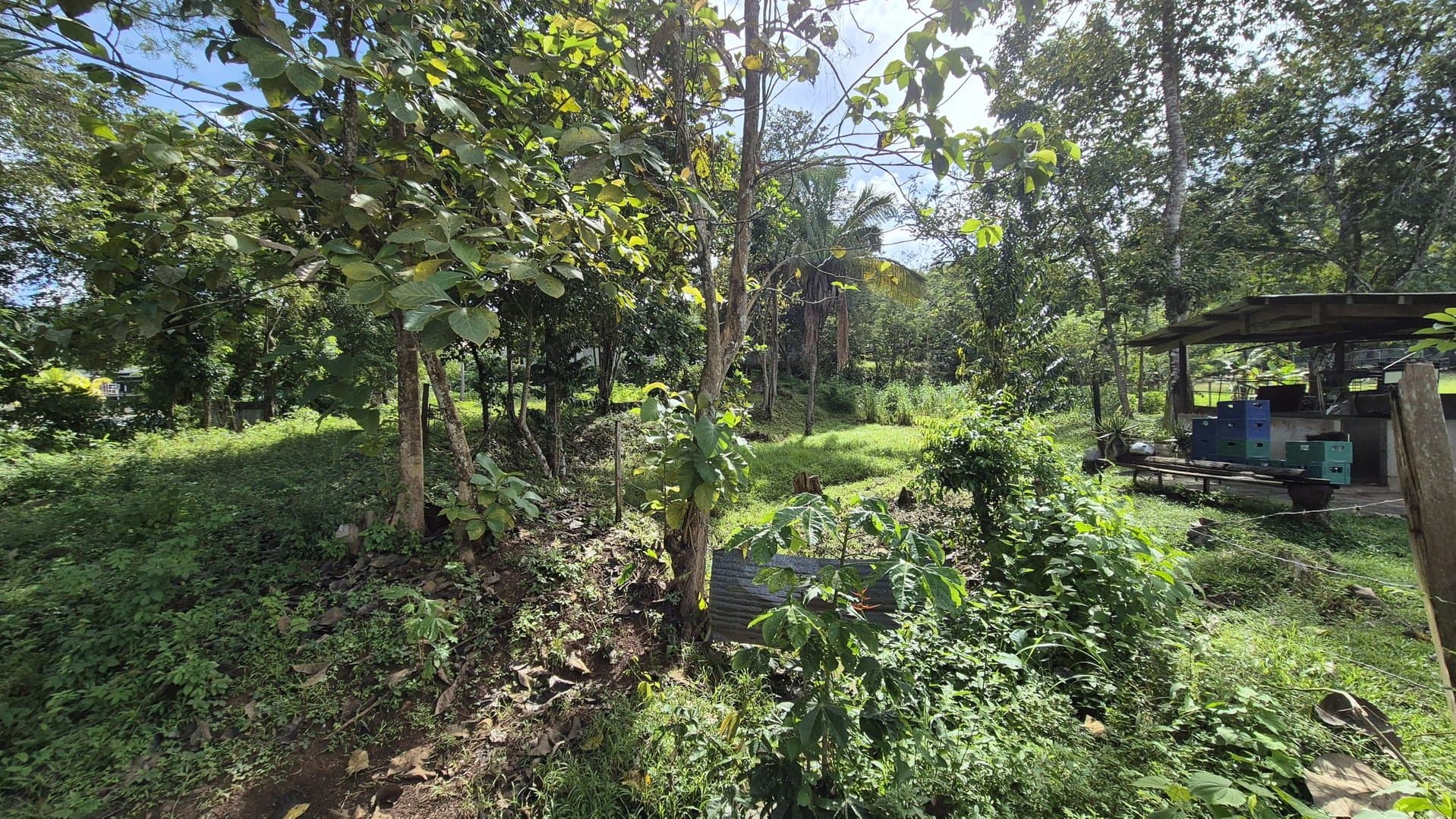 Expansive 2.47-Acre Retreat with 4-Bedroom Home and Casita in Capira, Panama Oeste P-0343 - Image 48