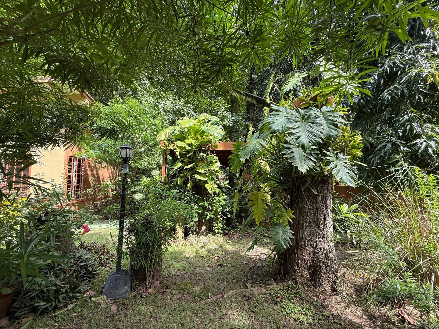 Spacious Open-Concept Home with Lush Vegetation in San Carlos, Panama R-0610 - Image 74