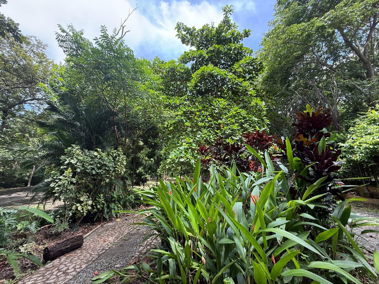 Spacious Open-Concept Home with Lush Vegetation in San Carlos, Panama R-0610 - Image 75
