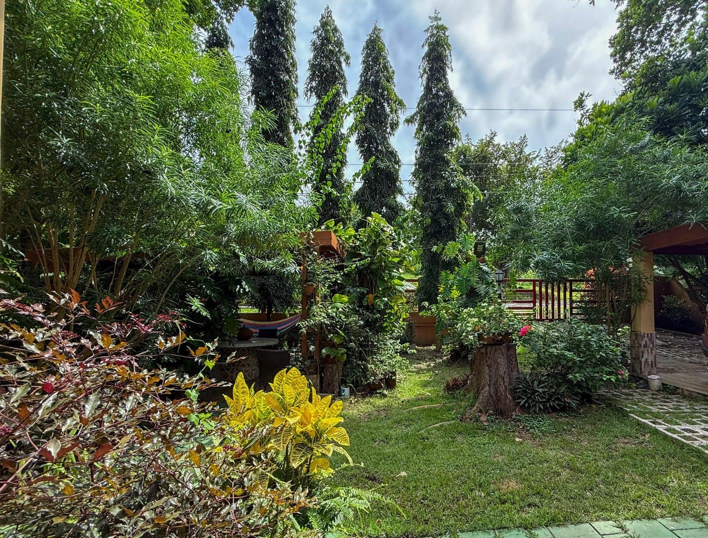 Spacious Open-Concept Home with Lush Vegetation in San Carlos, Panama R-0610 - Image 2