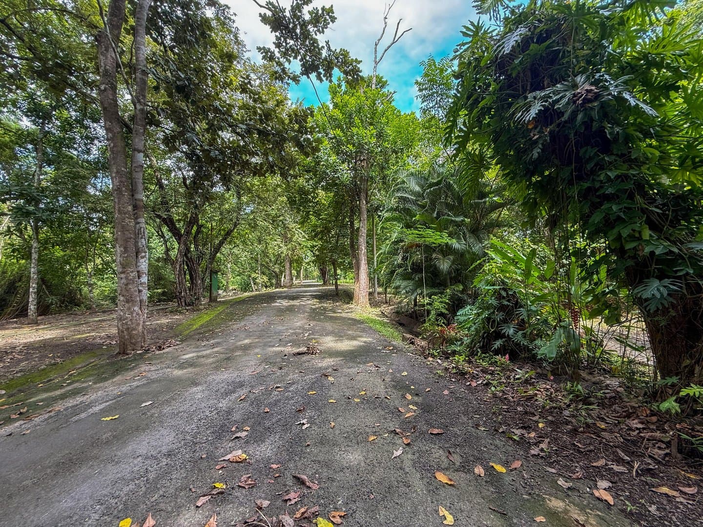 Spacious Open-Concept Home with Lush Vegetation in San Carlos, Panama R-0610 - Image 77