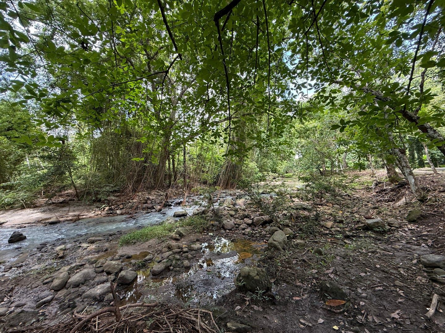 Spacious Open-Concept Home with Lush Vegetation in San Carlos, Panama R-0610 - Image 78