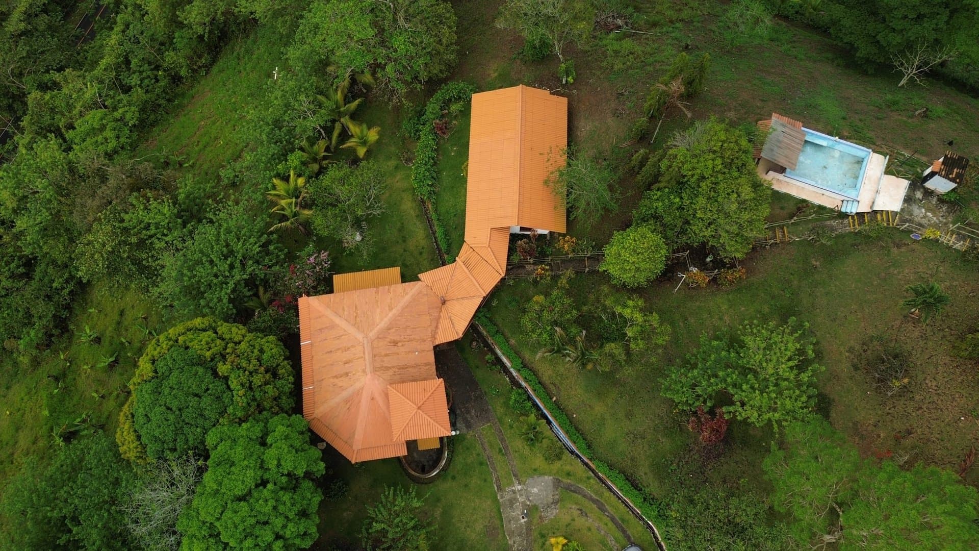 Stunning and Spacious 10.83 acres Estate Just 1.5 hours from Panama City P-0484 - Image 2