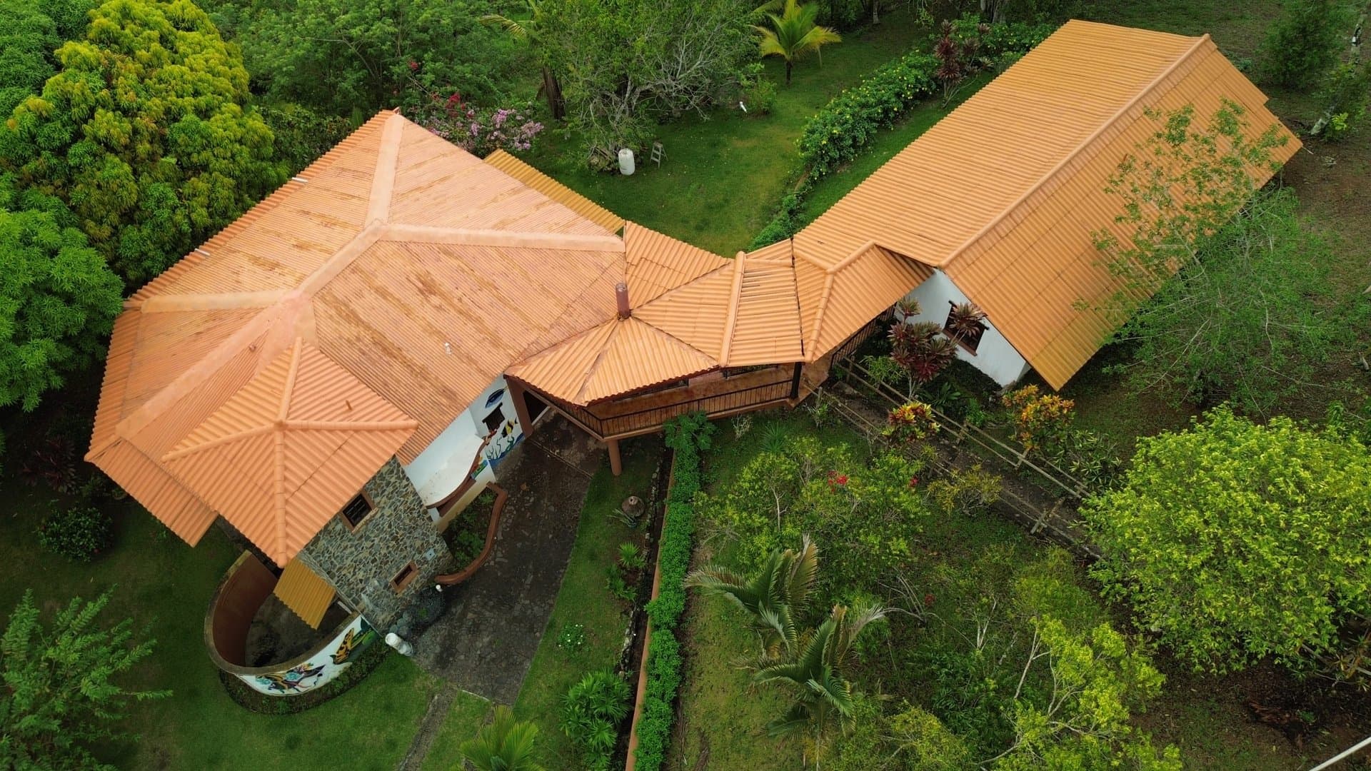 Stunning and Spacious 10.83 acres Estate Just 1.5 hours from Panama City P-0484 - Image 3