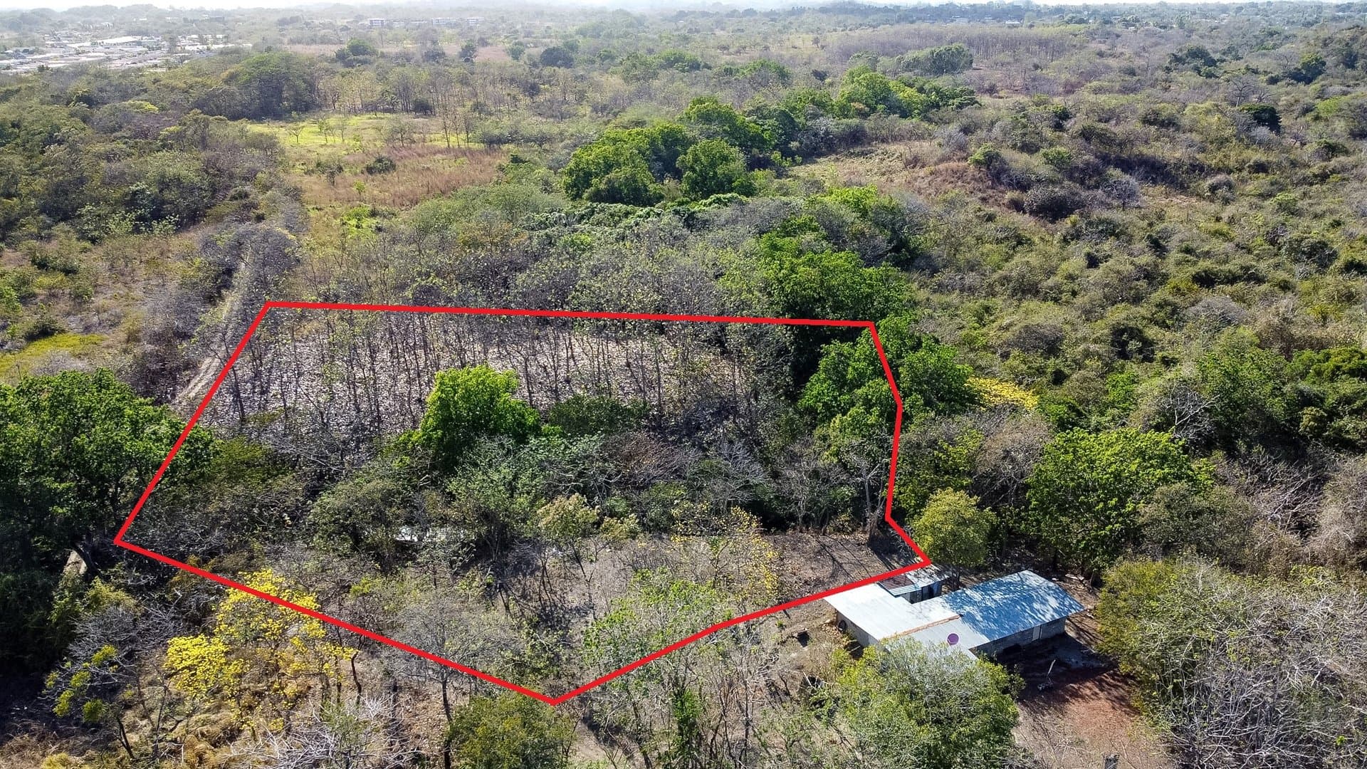 Prime 1.86 Acre Land for Sale Near the Beach – Nature, Teak Trees & Investment Potential in Nueva Gorgona P-0004