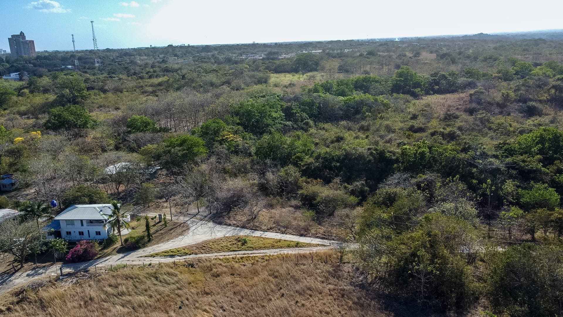 Prime 1.86 Acre Land for Sale Near the Beach – Nature, Teak Trees & Investment Potential in Nueva Gorgona P-0004 - Image 2