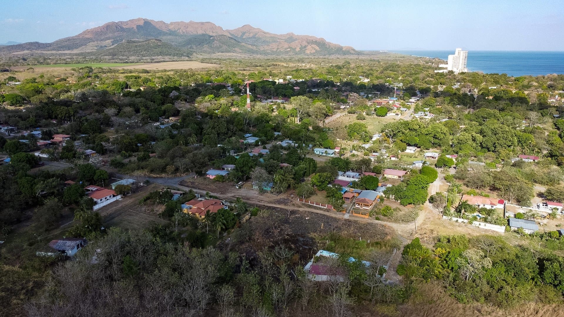 Prime 1.86 Acre Land for Sale Near the Beach – Nature, Teak Trees & Investment Potential in Nueva Gorgona P-0004 - Image 3