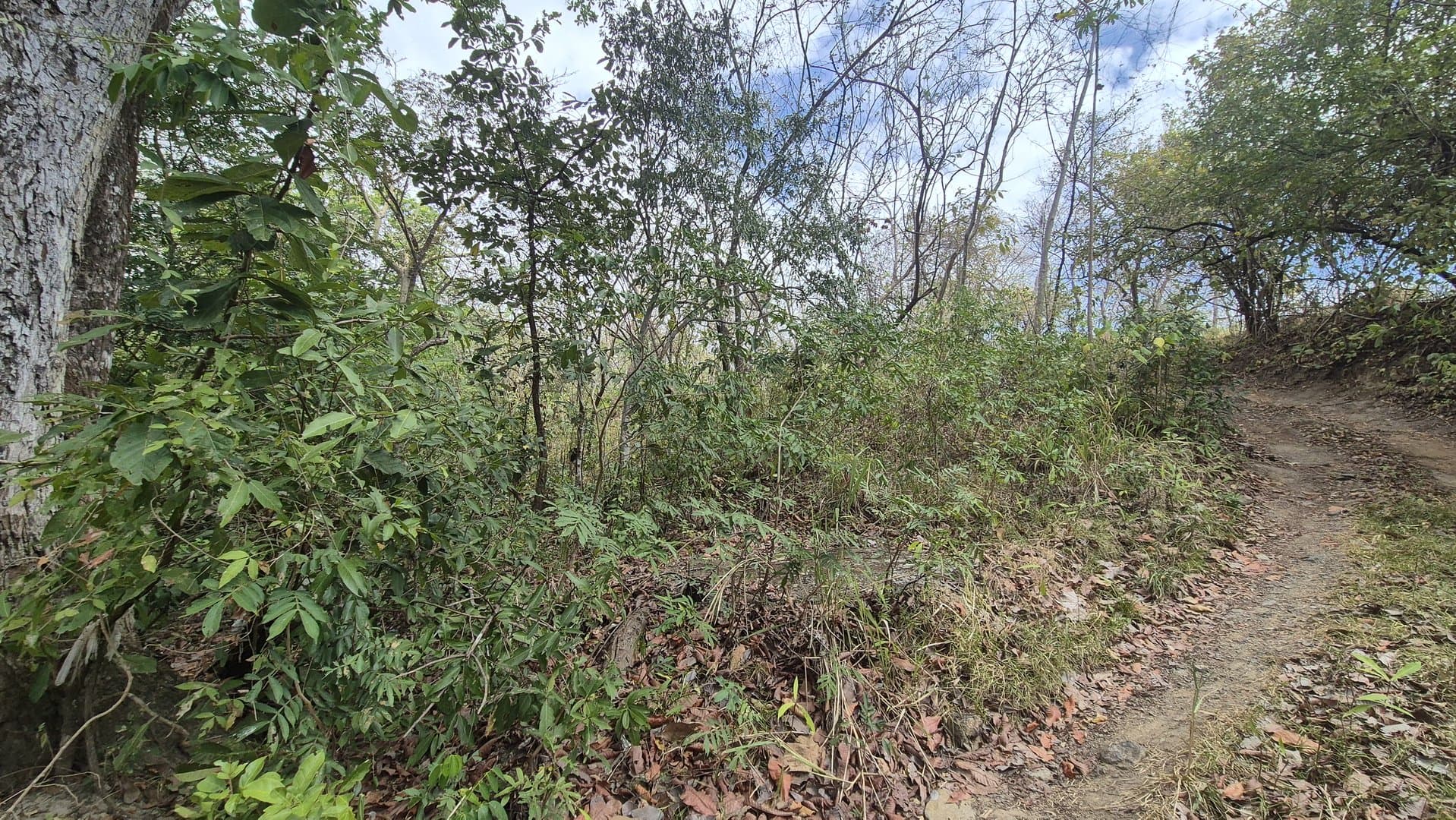 Prime 1.86 Acre Land for Sale Near the Beach – Nature, Teak Trees & Investment Potential in Nueva Gorgona P-0004 - Image 53