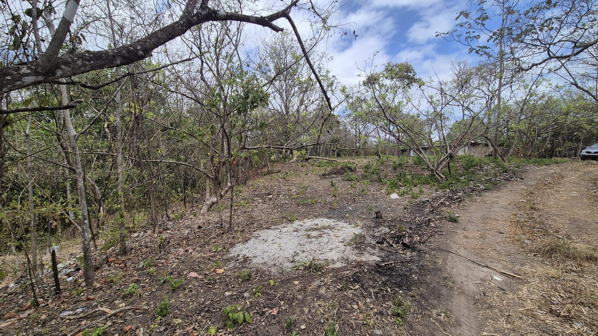 Prime 1.86 Acre Land for Sale Near the Beach – Nature, Teak Trees & Investment Potential in Nueva Gorgona P-0004 - Image 17