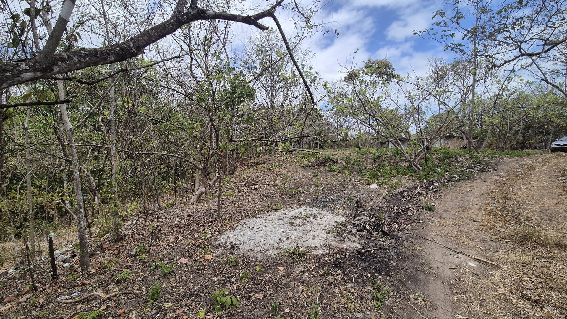 Prime 1.86 Acre Land for Sale Near the Beach – Nature, Teak Trees & Investment Potential in Nueva Gorgona P-0004 - Image 57