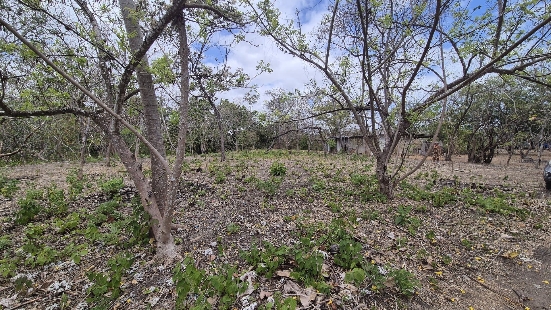 Prime 1.86 Acre Land for Sale Near the Beach – Nature, Teak Trees & Investment Potential in Nueva Gorgona P-0004 - Image 59