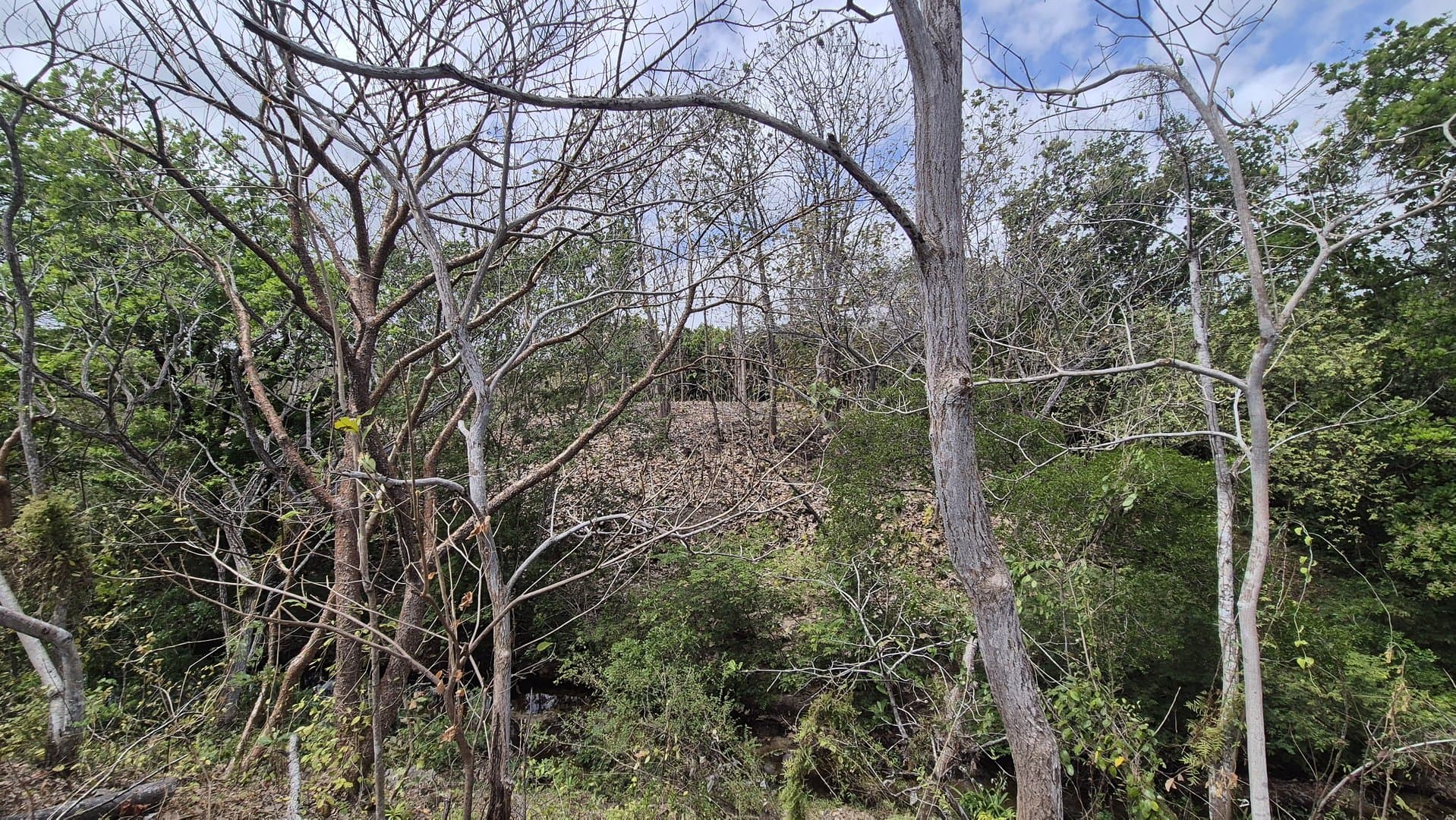 Prime 1.86 Acre Land for Sale Near the Beach – Nature, Teak Trees & Investment Potential in Nueva Gorgona P-0004 - Image 67