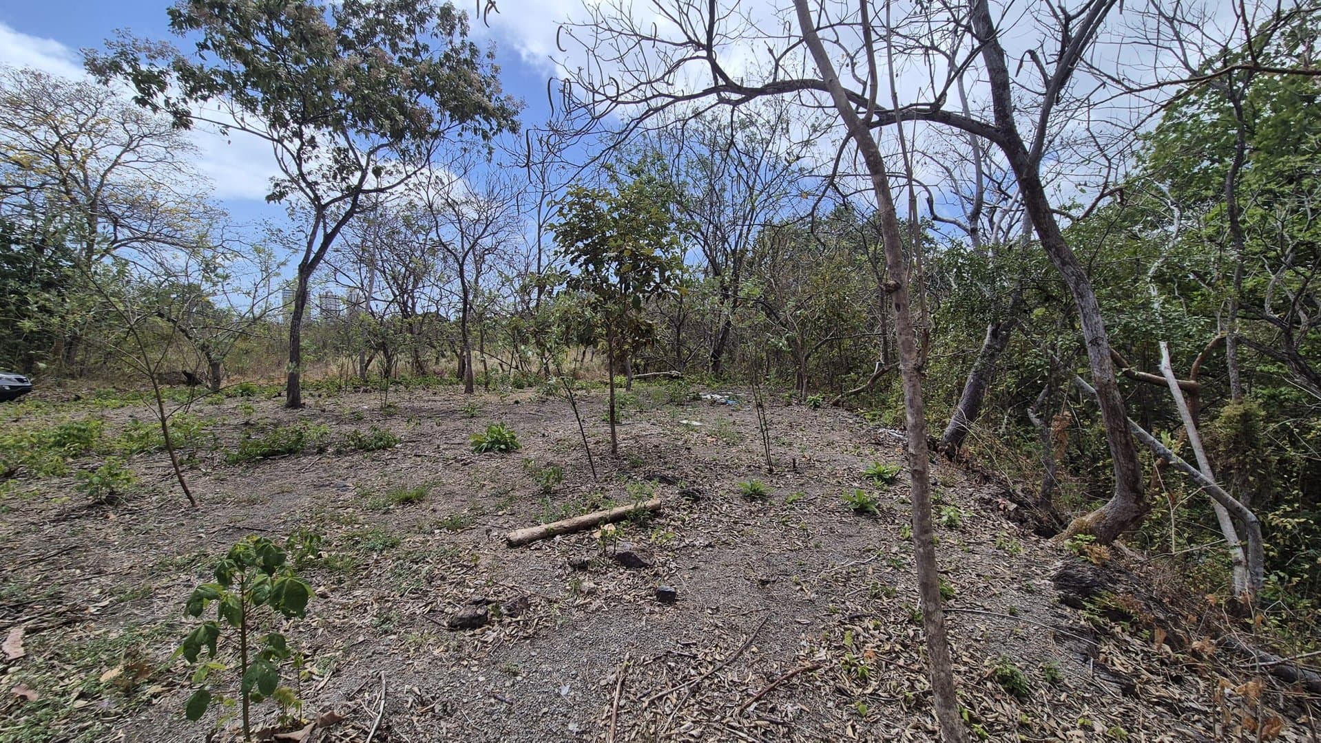 Prime 1.86 Acre Land for Sale Near the Beach – Nature, Teak Trees & Investment Potential in Nueva Gorgona P-0004 - Image 30