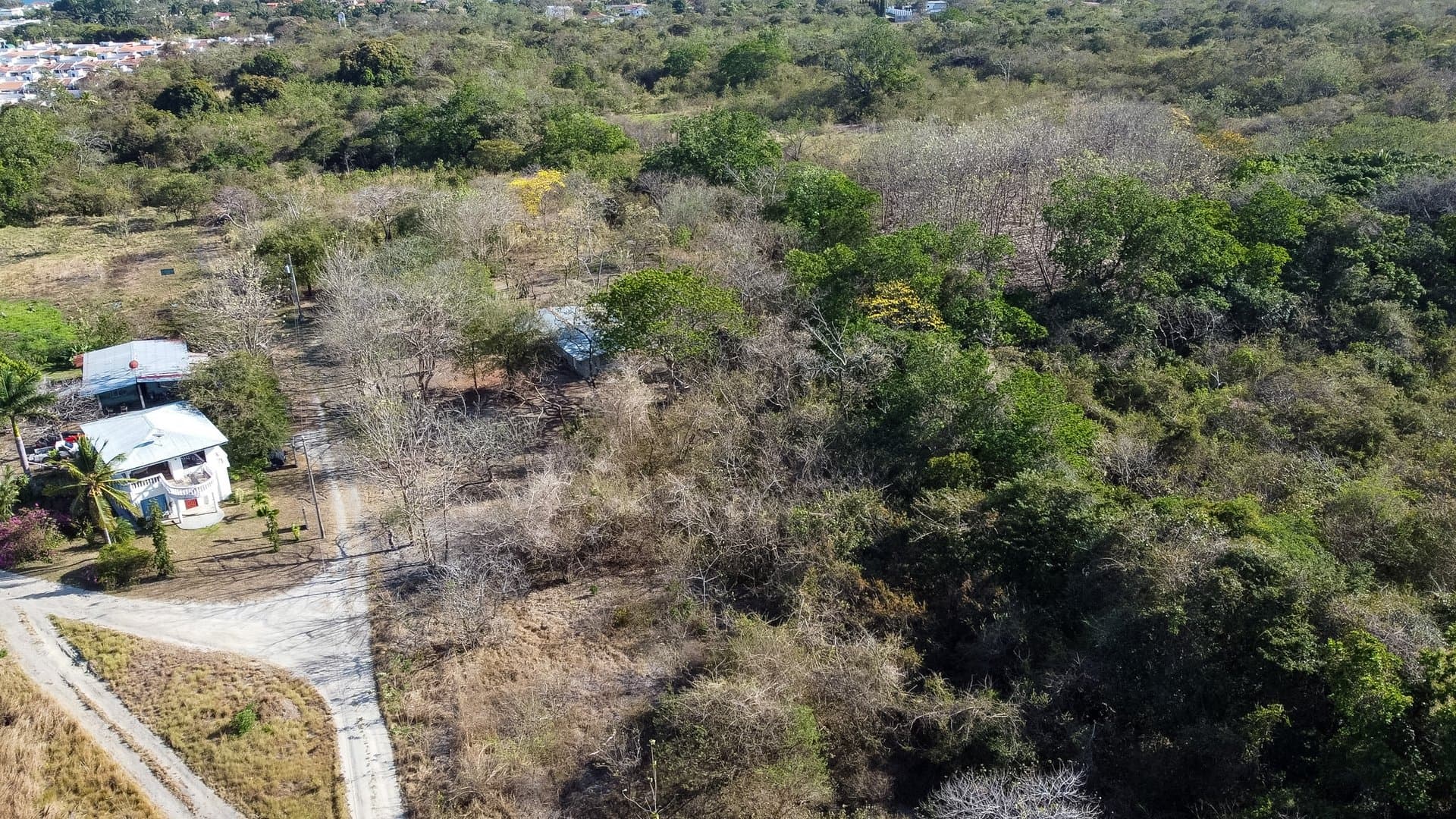 Prime 1.86 Acre Land for Sale Near the Beach – Nature, Teak Trees & Investment Potential in Nueva Gorgona P-0004 - Image 38