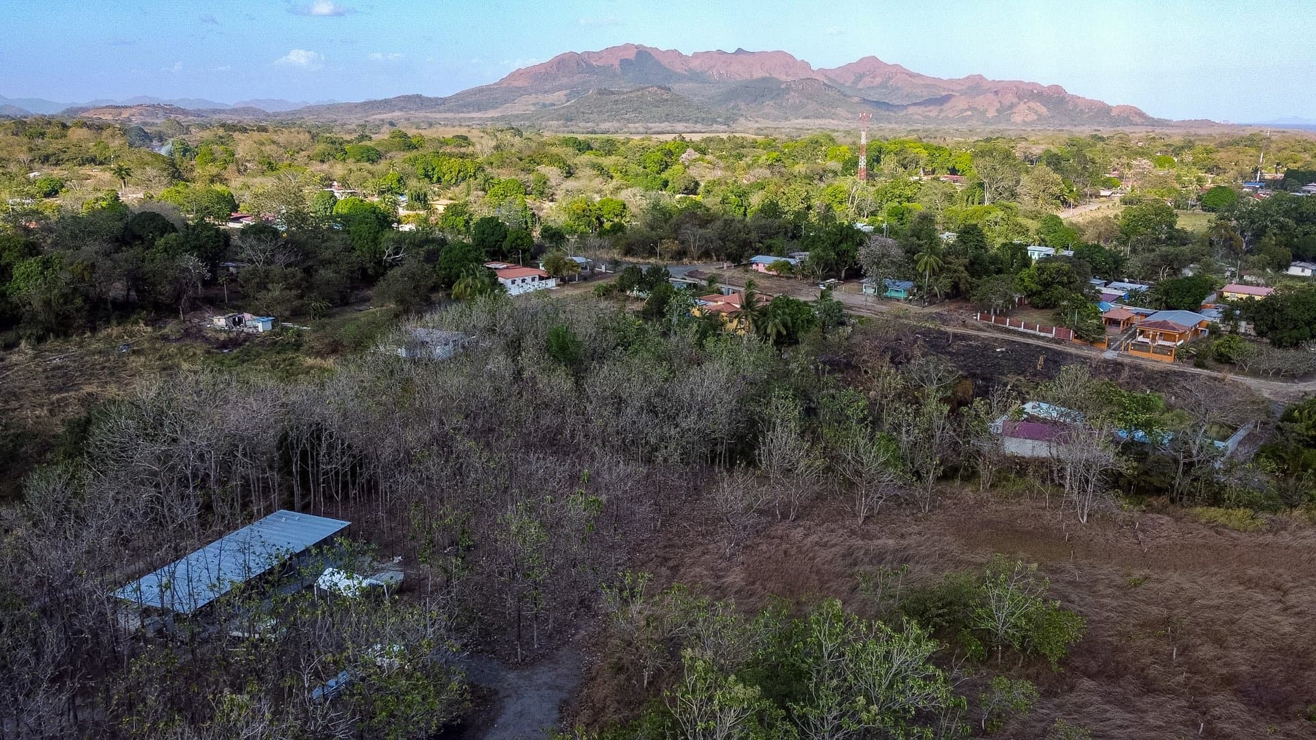 Prime 1.86 Acre Land for Sale Near the Beach – Nature, Teak Trees & Investment Potential in Nueva Gorgona P-0004 - Image 40