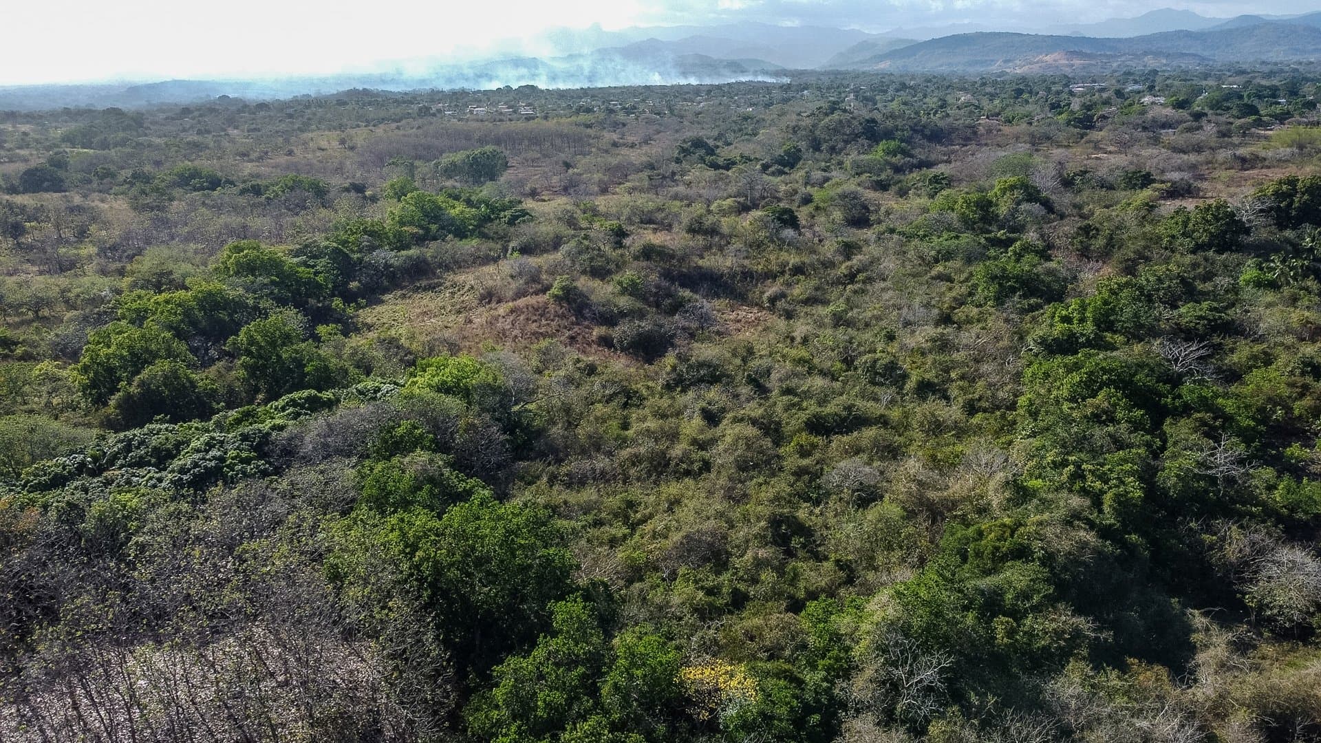 Prime 1.86 Acre Land for Sale Near the Beach – Nature, Teak Trees & Investment Potential in Nueva Gorgona P-0004 - Image 41