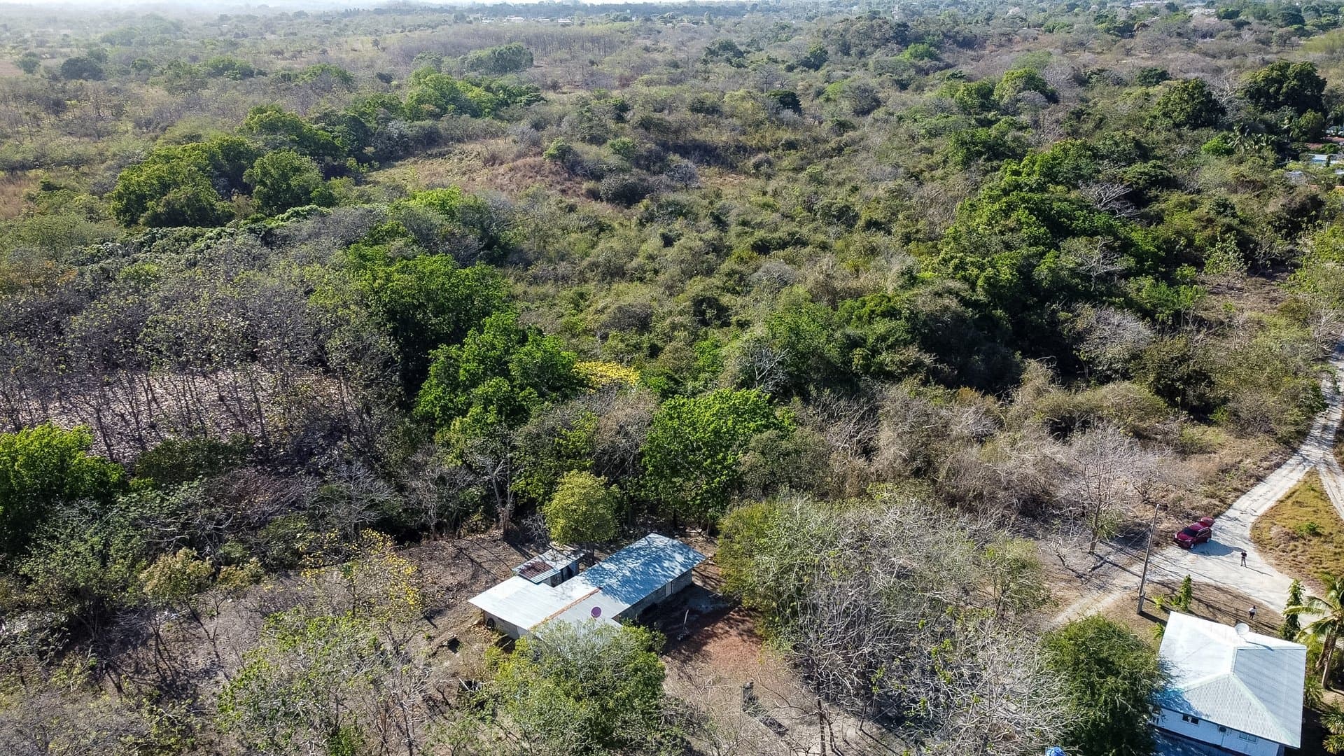 Prime 1.86 Acre Land for Sale Near the Beach – Nature, Teak Trees & Investment Potential in Nueva Gorgona P-0004 - Image 42
