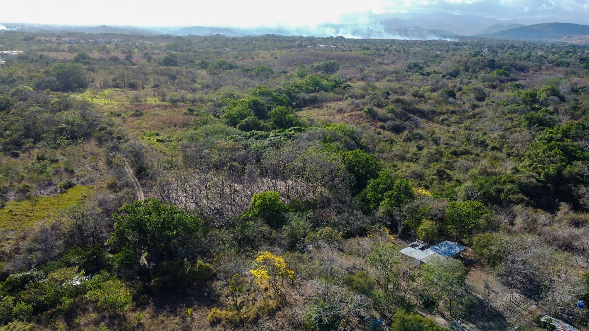 Prime 1.86 Acre Land for Sale Near the Beach – Nature, Teak Trees & Investment Potential in Nueva Gorgona P-0004 - Image 43
