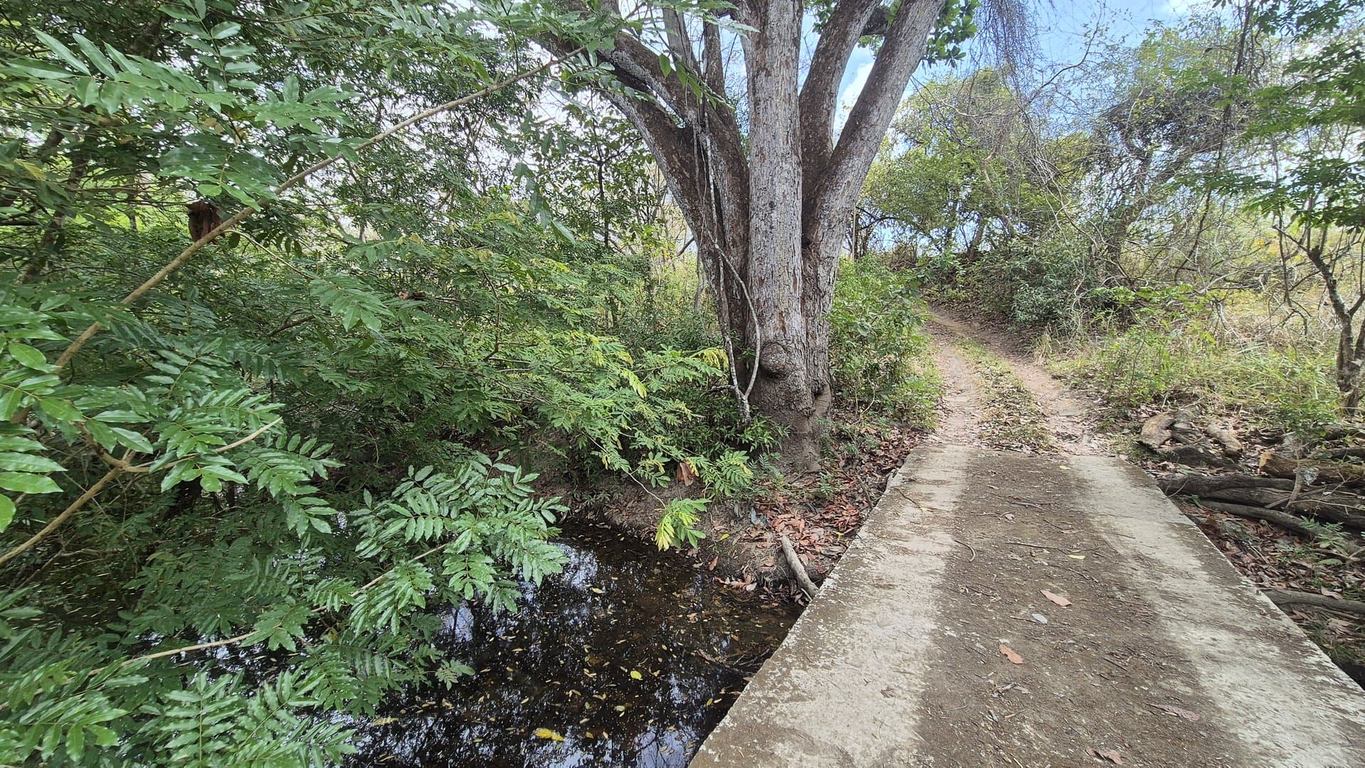Prime 1.86 Acre Land for Sale Near the Beach – Nature, Teak Trees & Investment Potential in Nueva Gorgona P-0004 - Image 50