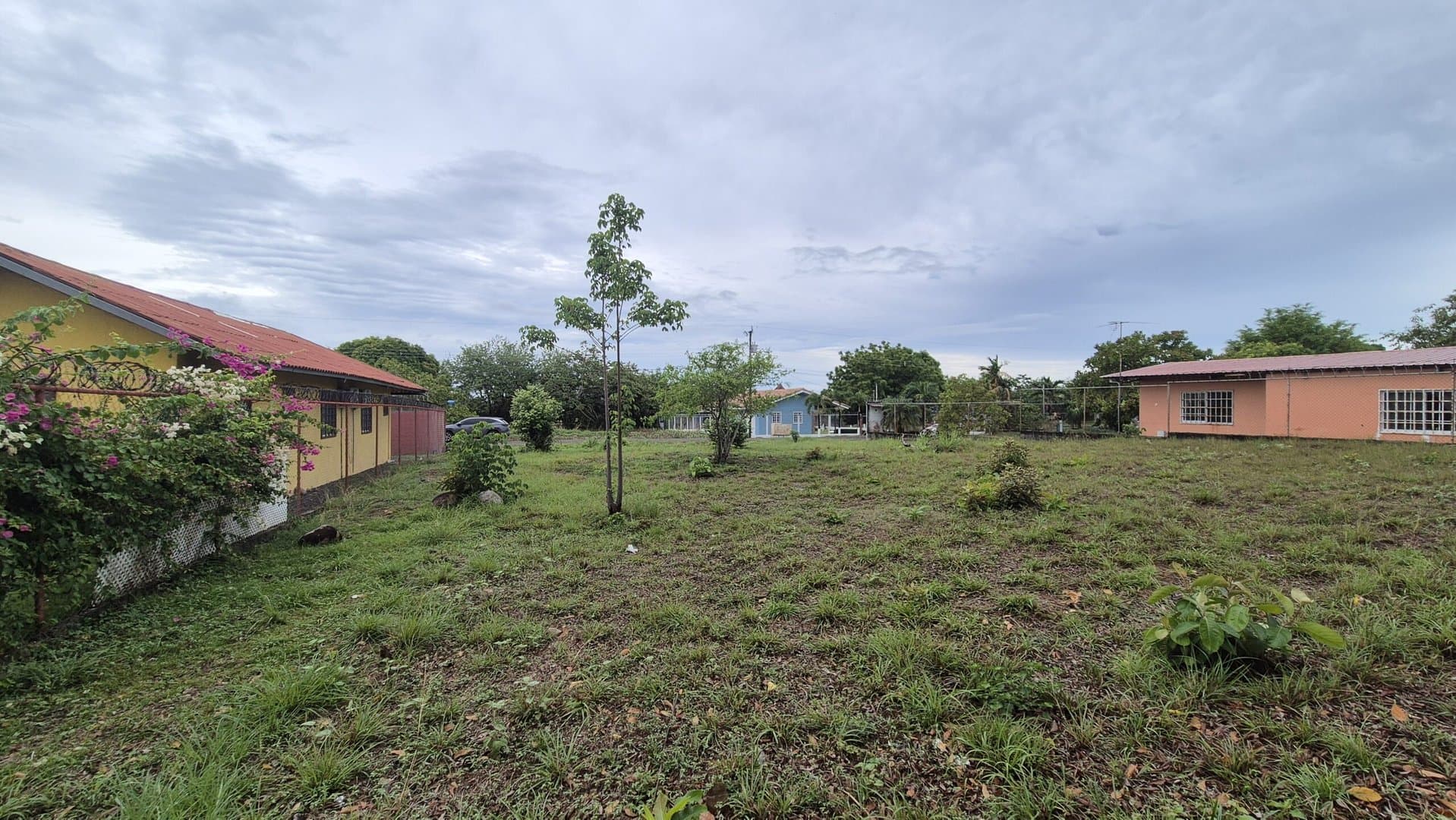 Great opportunity – lot for sale in Gorgona P-0008 - Image 14