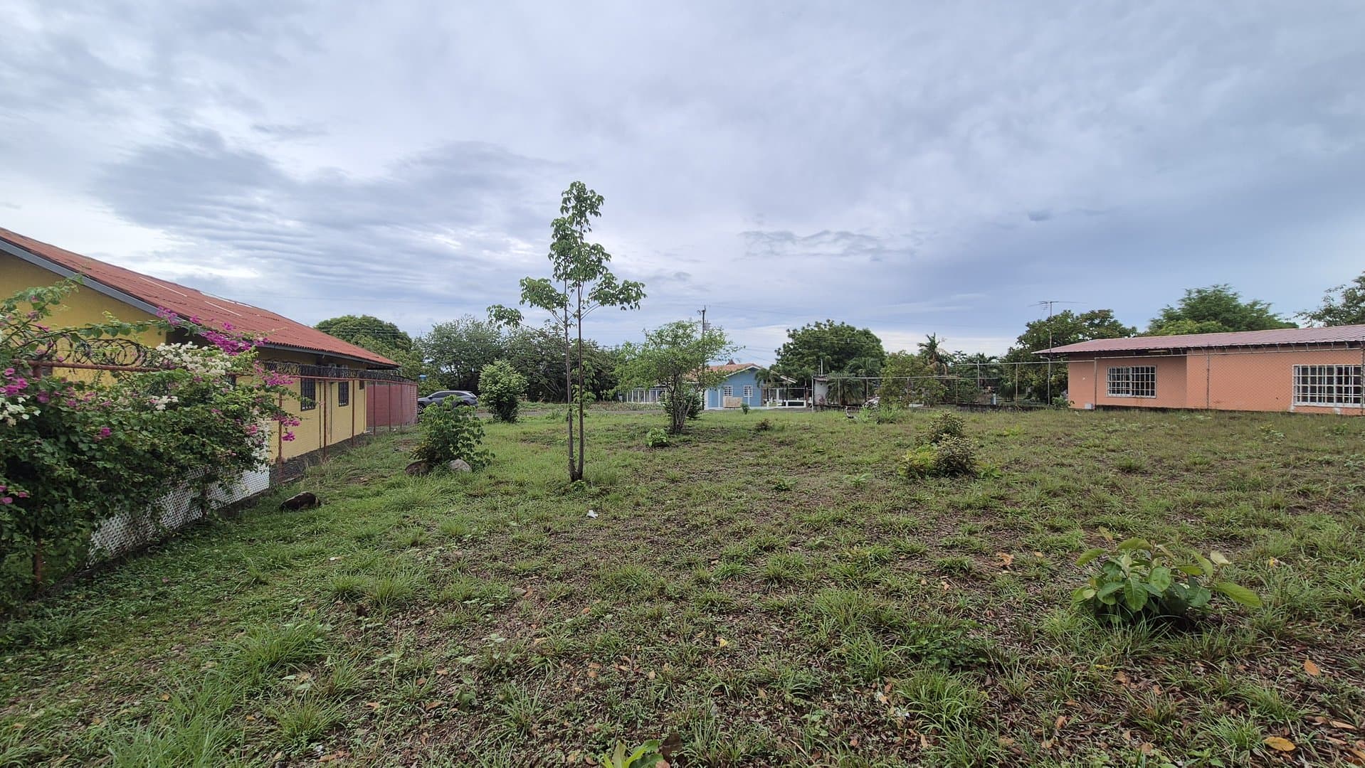 Great opportunity – lot for sale in Gorgona P-0008 - Image 41