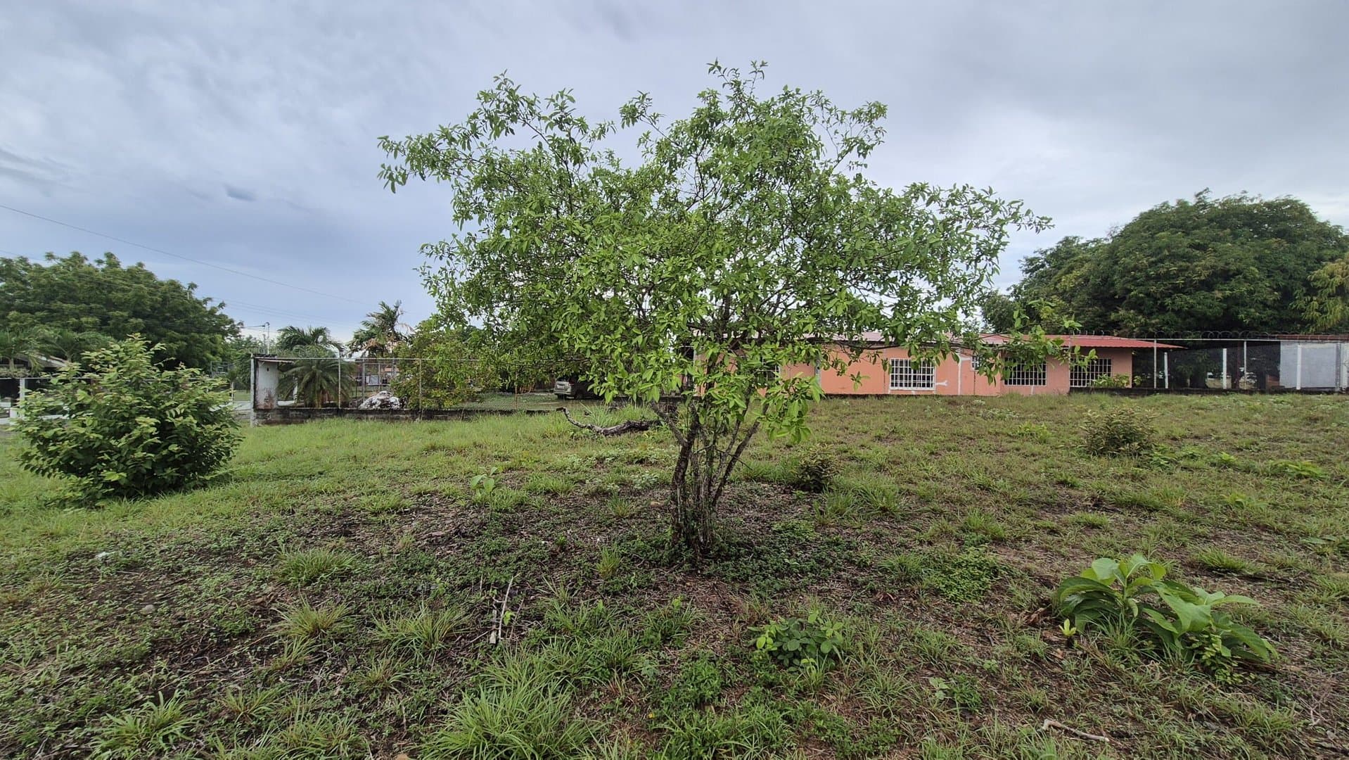 Great opportunity – lot for sale in Gorgona P-0008 - Image 18
