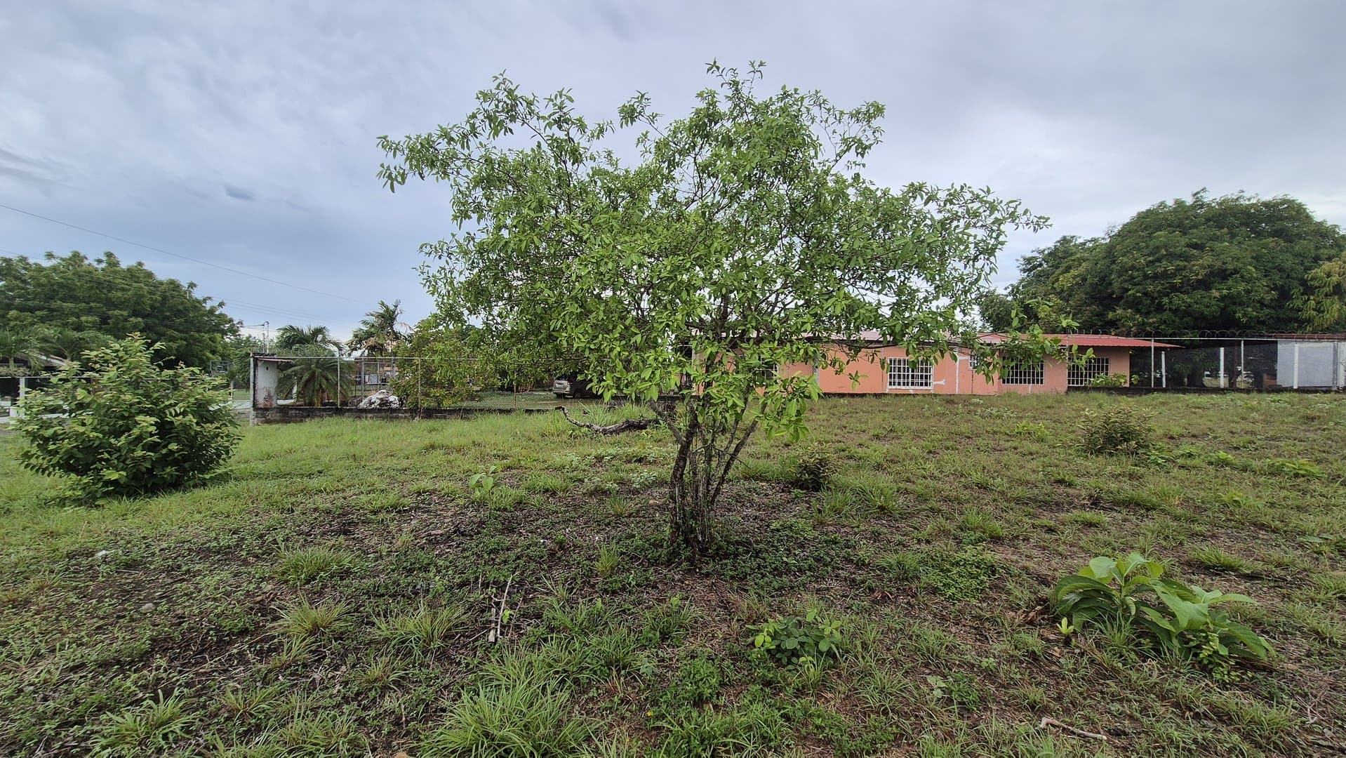 Great opportunity – lot for sale in Gorgona P-0008 - Image 45
