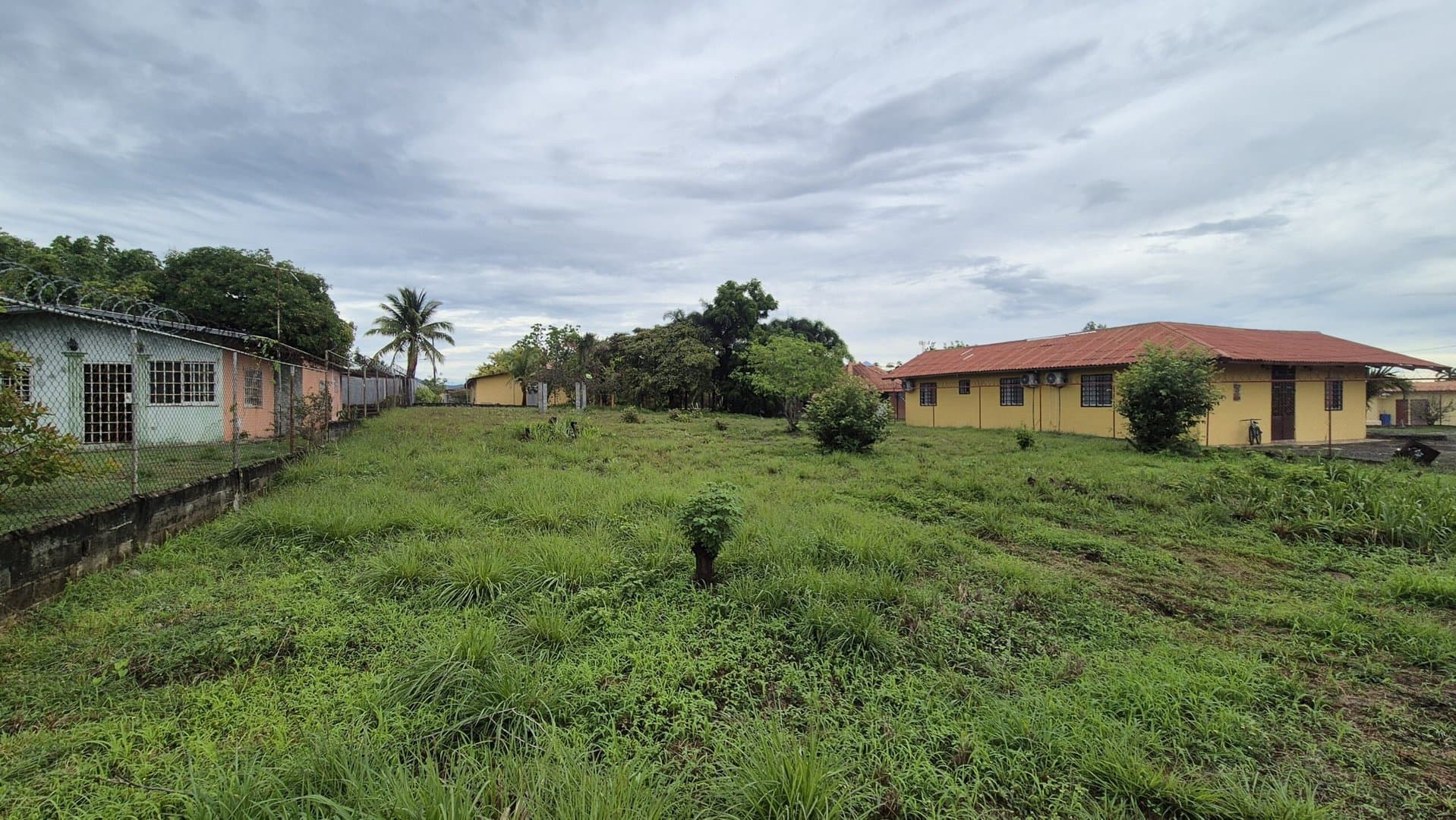 Great opportunity – lot for sale in Gorgona P-0008 - Image 3