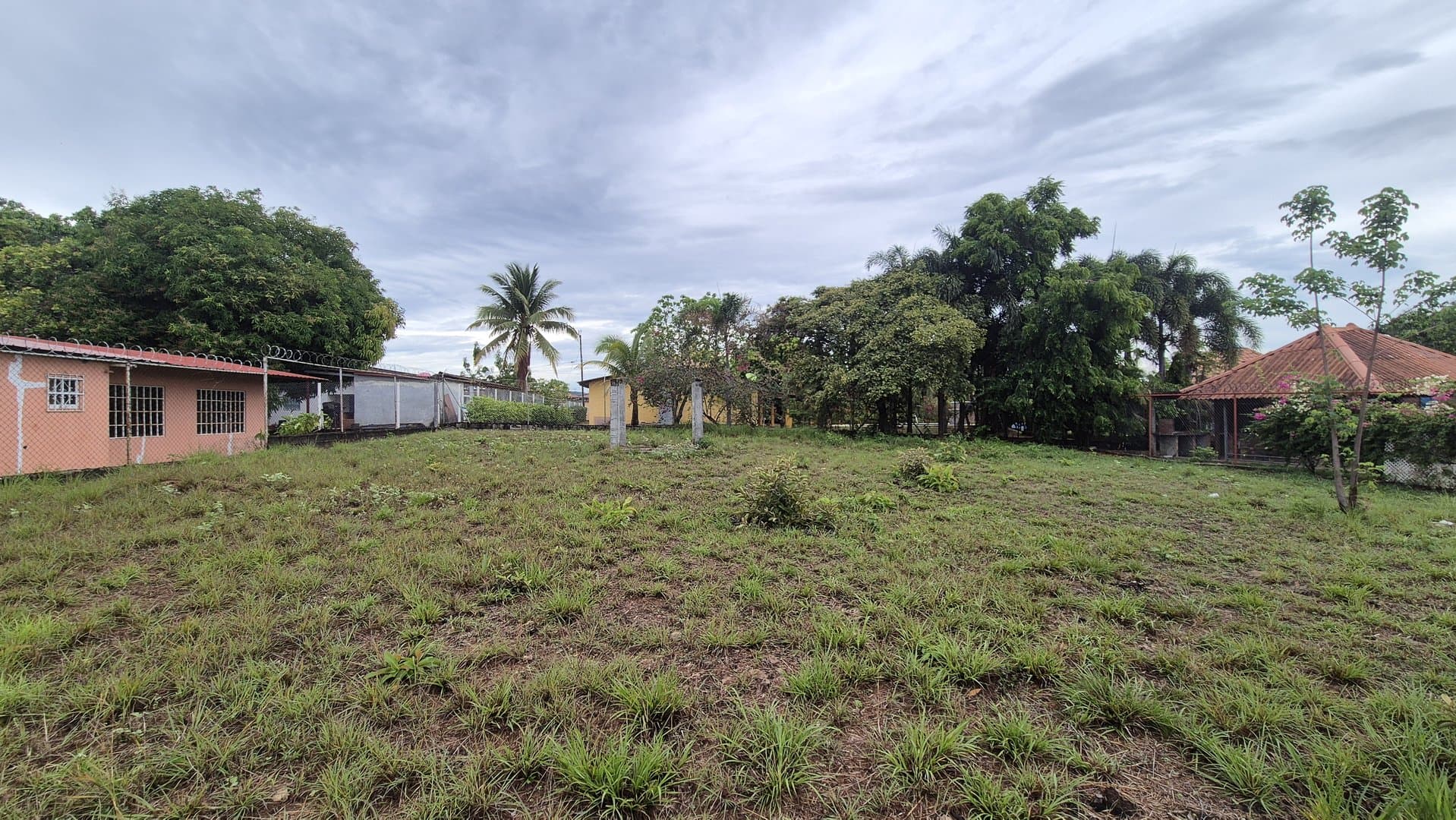 Great opportunity – lot for sale in Gorgona P-0008 - Image 36