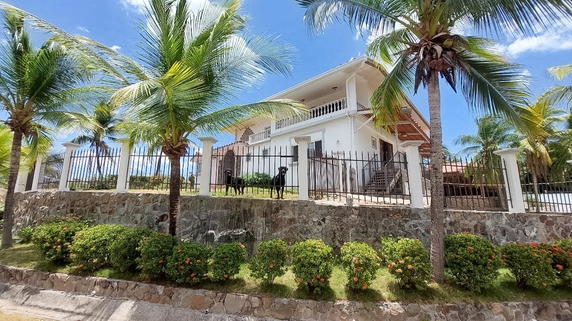 Spacious Corner Estate with Pool in Coronado – Renovation & Investment Opportunity | P-0319 - Image 7