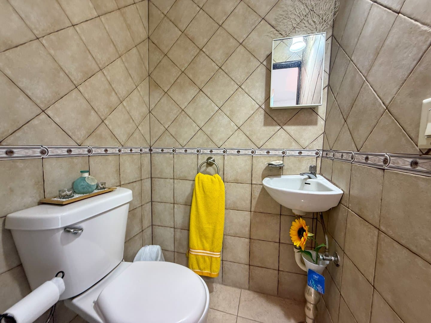 Beachside Tropical Retreat with Two Homes, Exceptional Investment Opportunity in Gorgona, Panama Oeste R-0260 - Image 14
